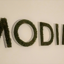 Modélisation et impression en 3D d’un logo végétal pour notre agence Modim3D